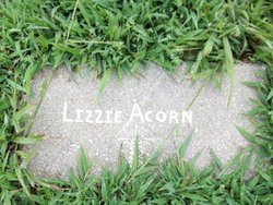 Lizzie Acorn 