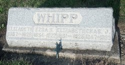 Ezra Whipp 