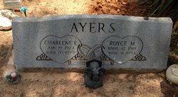 Royce M Ayers 