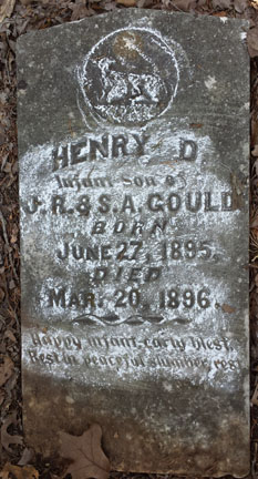 Henry D Gould 