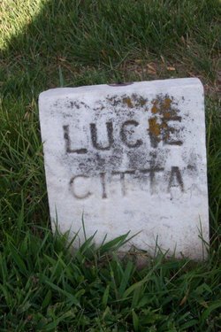 Lucie B Citta 