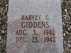 Harvey Carroll Giddens 