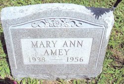 Mary Ann Amey 