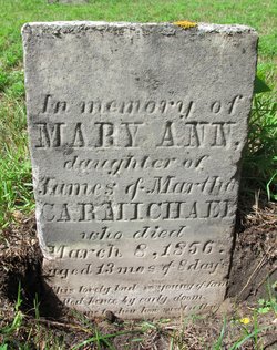Mary Ann Carmichael 