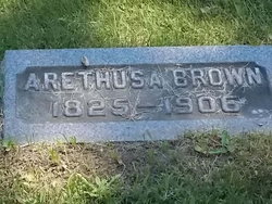 Arethusa Brown 