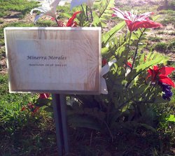 Minerva “Sheena” <I>Cortez</I> Morales 