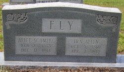 Alice Louvenia <I>Schmitz</I> Fly 