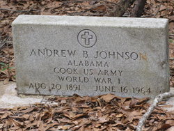 Andrew B Johnson 