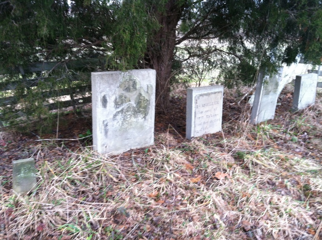 Eakins Cemetery #1