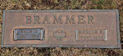 Dale C Brammer 