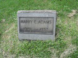 Harry E Adams 