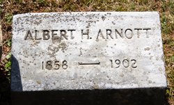 Albert H Arnott 