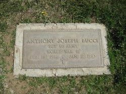 Anthony Joseph Bucci 