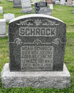 Noah Schrock 