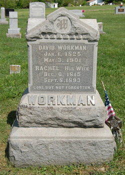 David Workman 
