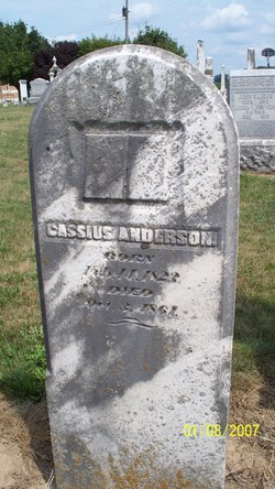 Cassius Anderson 
