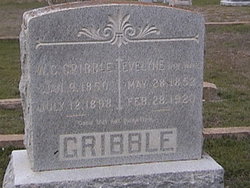 William Carroll Gribble 
