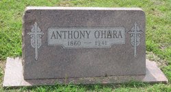 Anthony O'Hara 