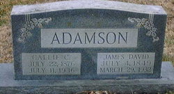 James David Adamson 