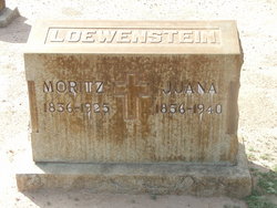 Meier Gunant Moritz LoEwenstein 