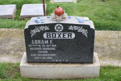 Abram Fyvish Boxer 