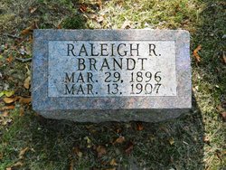 Raleigh Royal Brandt 