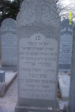 Rabbi Naftali Aryeh Spiegel 