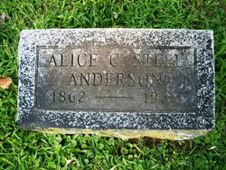 Alice Cary <I>Steel</I> Anderson 