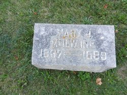 Mary Jane <I>Caldwell</I> McIlvaine 