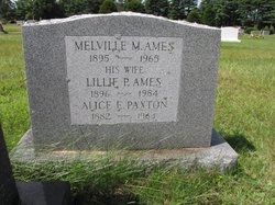 Melville M Ames 