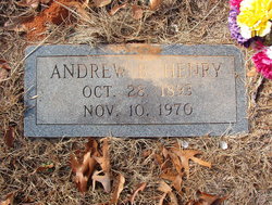 Andrew B Henry 