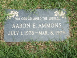 Aaron E Ammons 