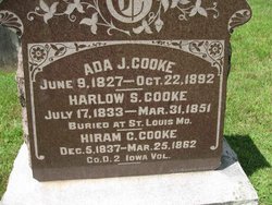 Harlow S Cooke 