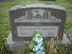 Chauncey Nial Amerine 