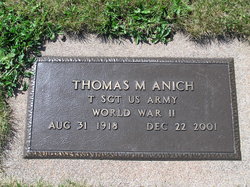 Thomas M Anich 