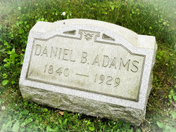 Daniel B Adams 