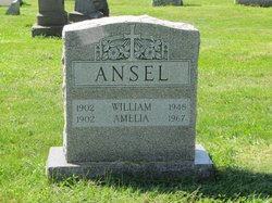 Amelia Ansel 