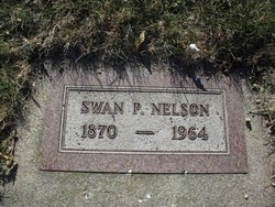 Swan Peter Nelson 