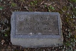 David J. Anderson 