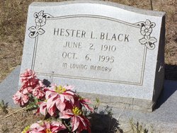 Hester L Black 