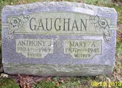 Anthony J. Gaughan 