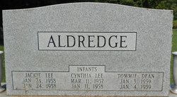 Cynthia Lee Aldredge 