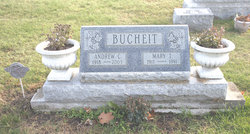 Andrew C Bucheit 
