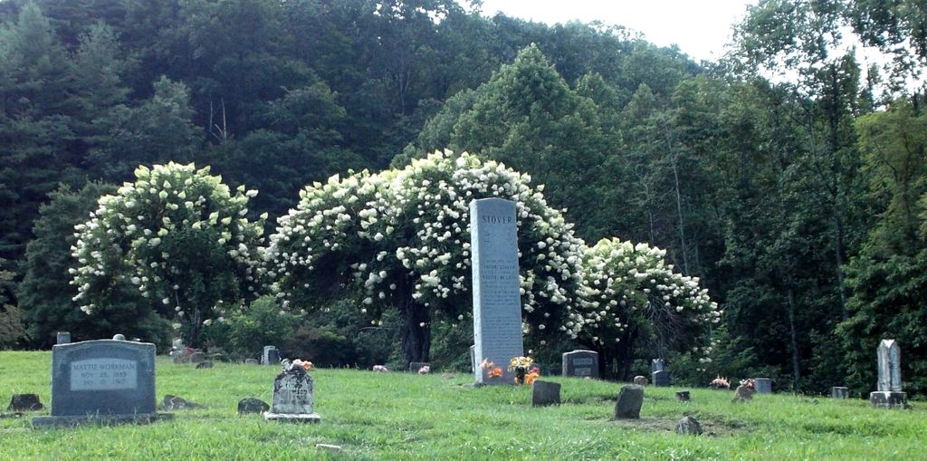 Workmans Creek Cemetery