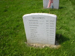 Freelove <I>Collins</I> Baldwin 