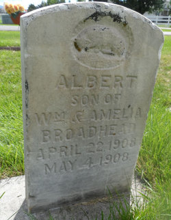 Albert Broadhead 