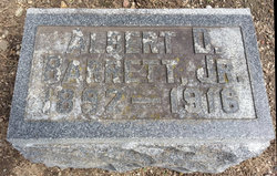 Albert D Barrett Jr.