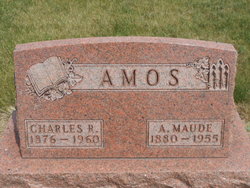 Anna Maude <I>Blonde</I> Amos 