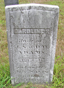 Caroline E Adams 