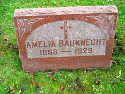 Amelia <I>Fehrman</I> Bauknecht 